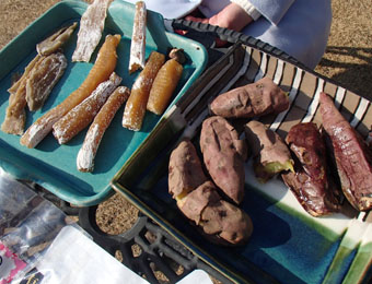 ����烊�|�[�^�[�̂���炩�ȓ��X