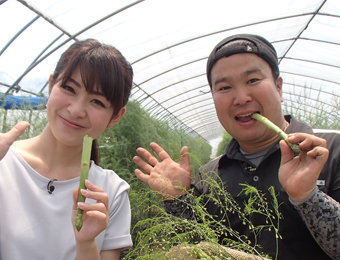 ����烊�|�[�^�[�̂���炩�ȓ��X