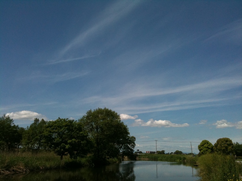 ����烊�|�[�^�[�̂���炩�ȓ��X