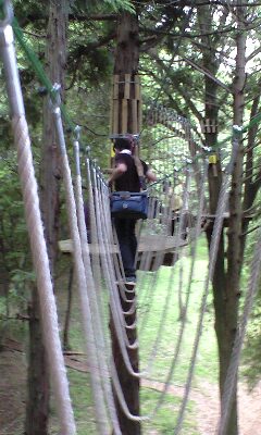 ����烊�|�[�^�[�̂���炩�ȓ��X