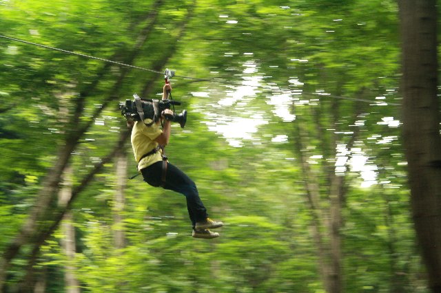 ����烊�|�[�^�[�̂���炩�ȓ��X