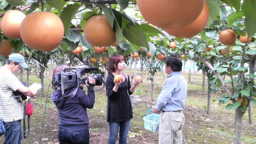 ����烊�|�[�^�[�̂���炩�ȓ��X