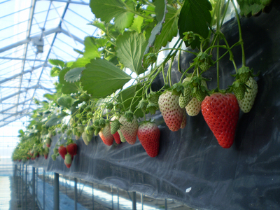 ����烊�|�[�^�[�̂���炩�ȓ��X