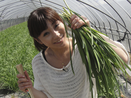 ����烊�|�[�^�[�̂���炩�ȓ��X