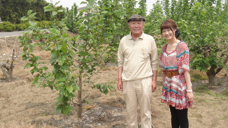 ����烊�|�[�^�[�̂���炩�ȓ��X