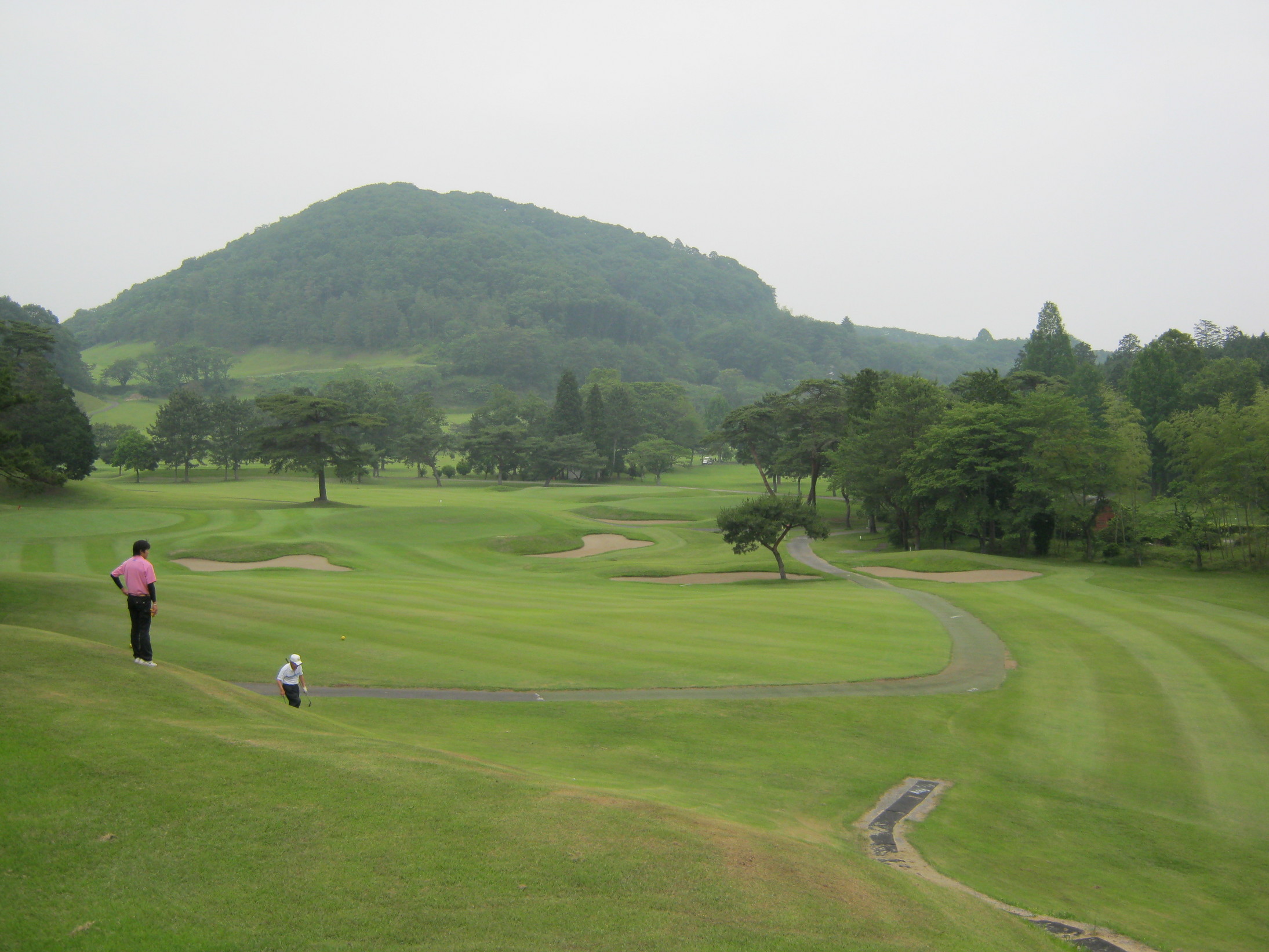 ����烊�|�[�^�[�̂���炩�ȓ��X