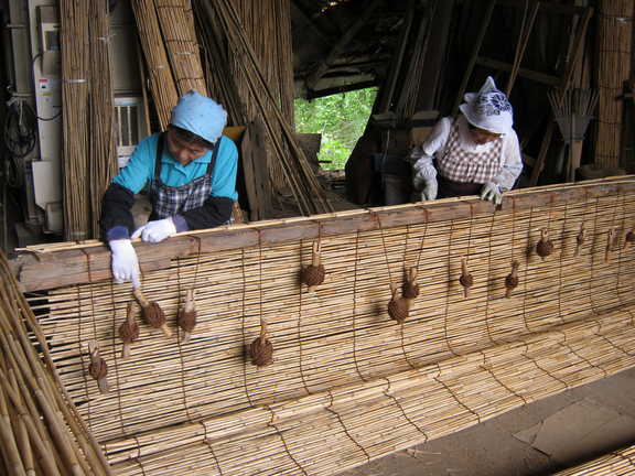 ����烊�|�[�^�[�̂���炩�ȓ��X