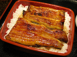 ����烊�|�[�^�[�̂���炩�ȓ��X