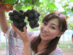 ����烊�|�[�^�[�̂���炩�ȓ��X