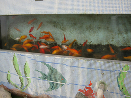 ����烊�|�[�^�[�̂���炩�ȓ��X