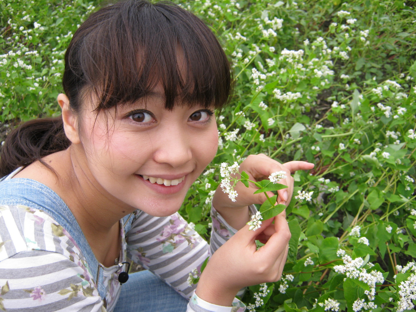 ����烊�|�[�^�[�̂���炩�ȓ��X