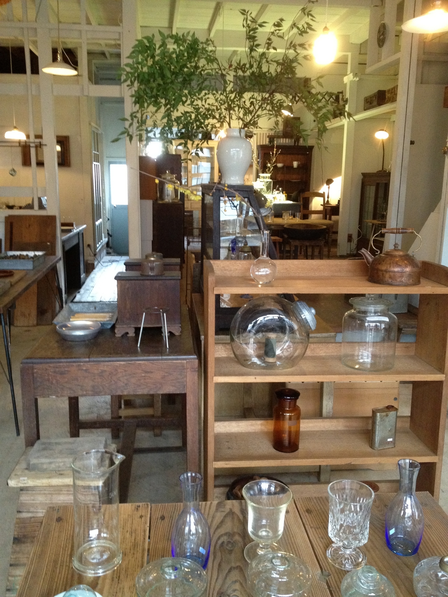 ����烊�|�[�^�[�̂���炩�ȓ��X