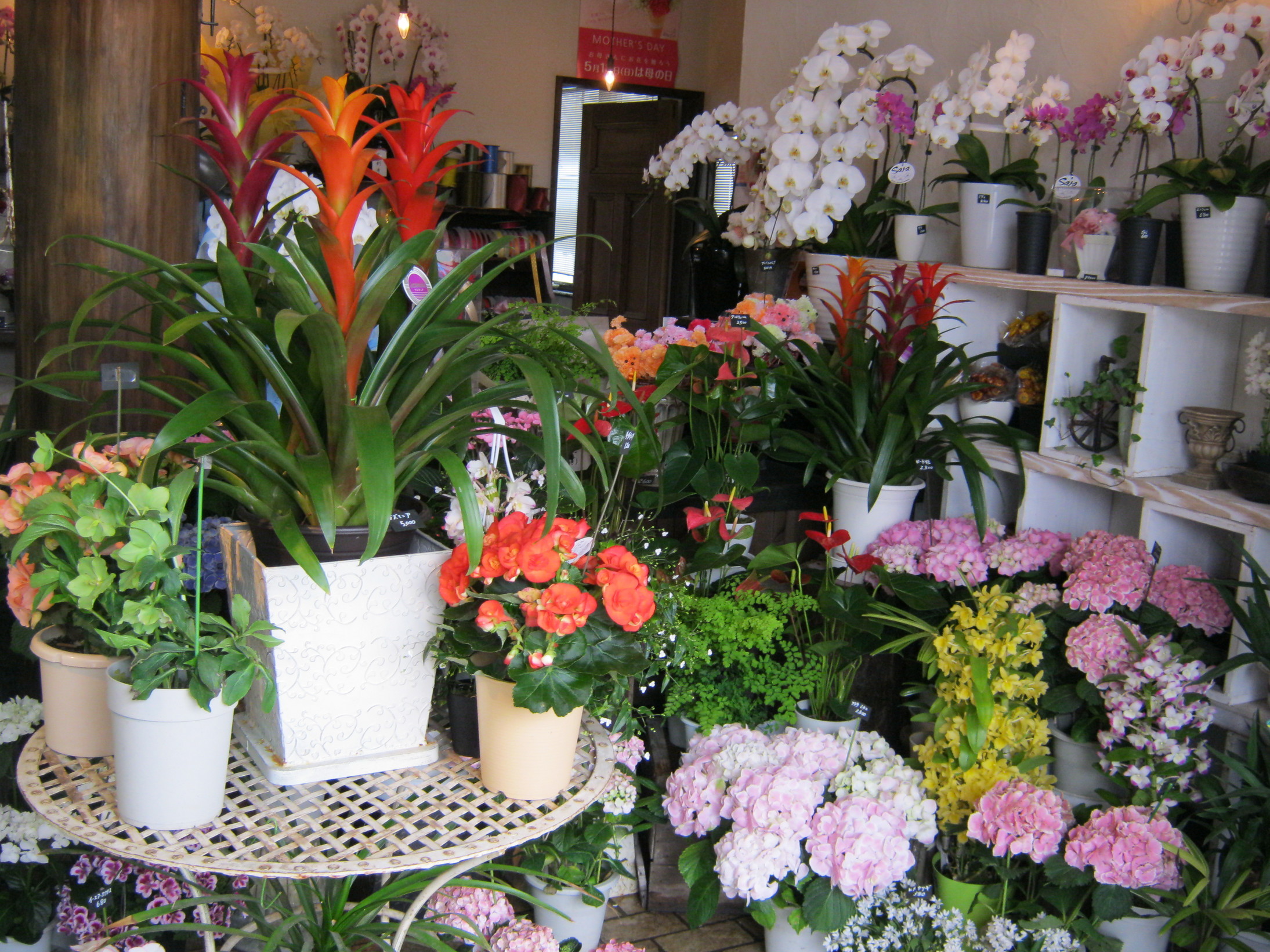 ����烊�|�[�^�[�̂���炩�ȓ��X