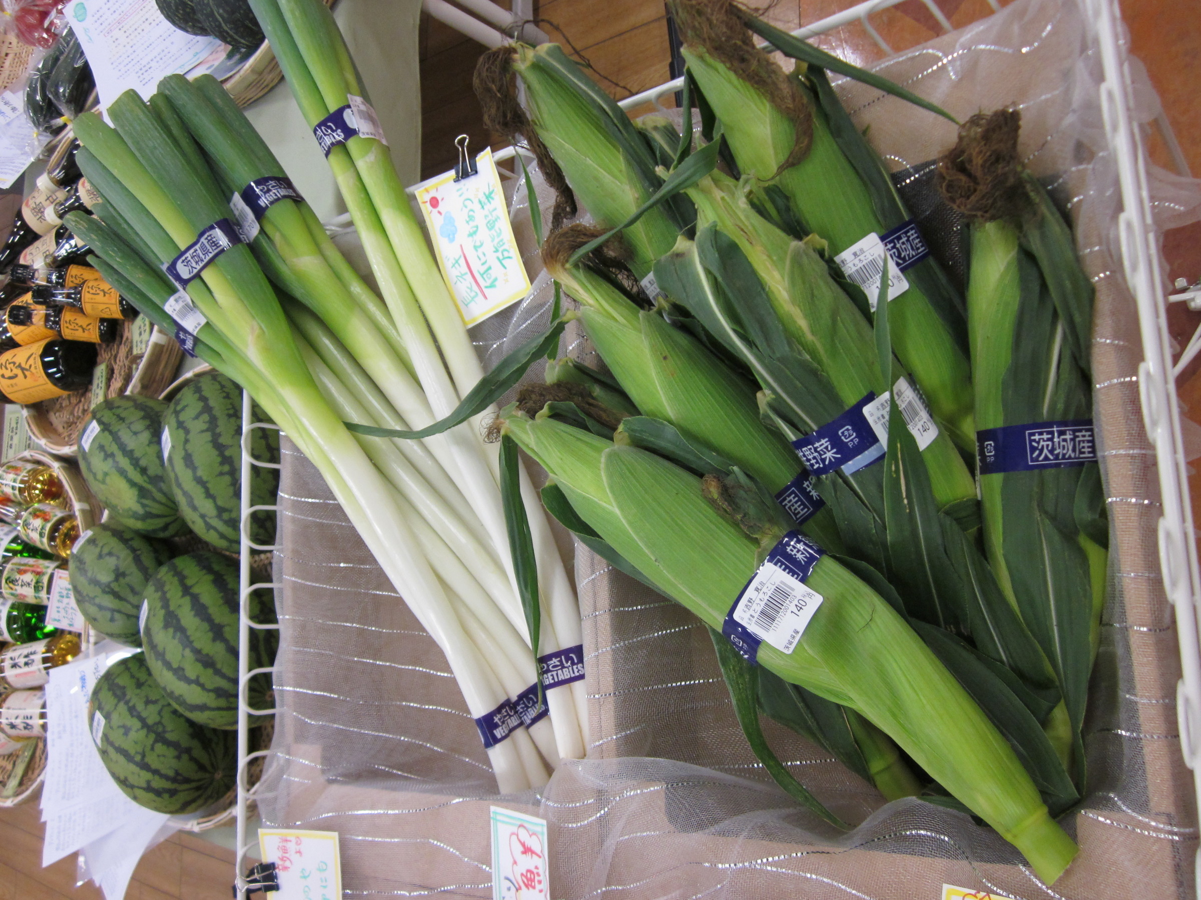 ����烊�|�[�^�[�̂���炩�ȓ��X