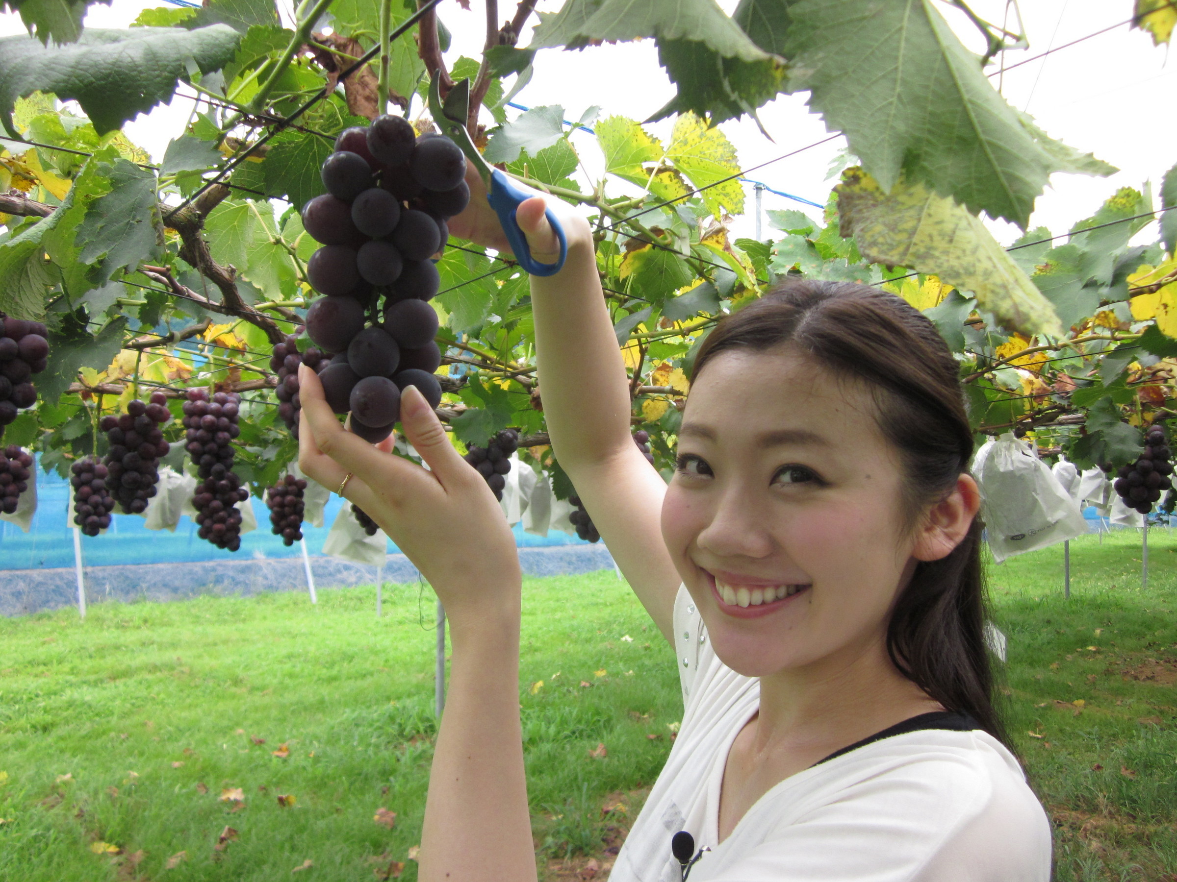 ����烊�|�[�^�[�̂���炩�ȓ��X