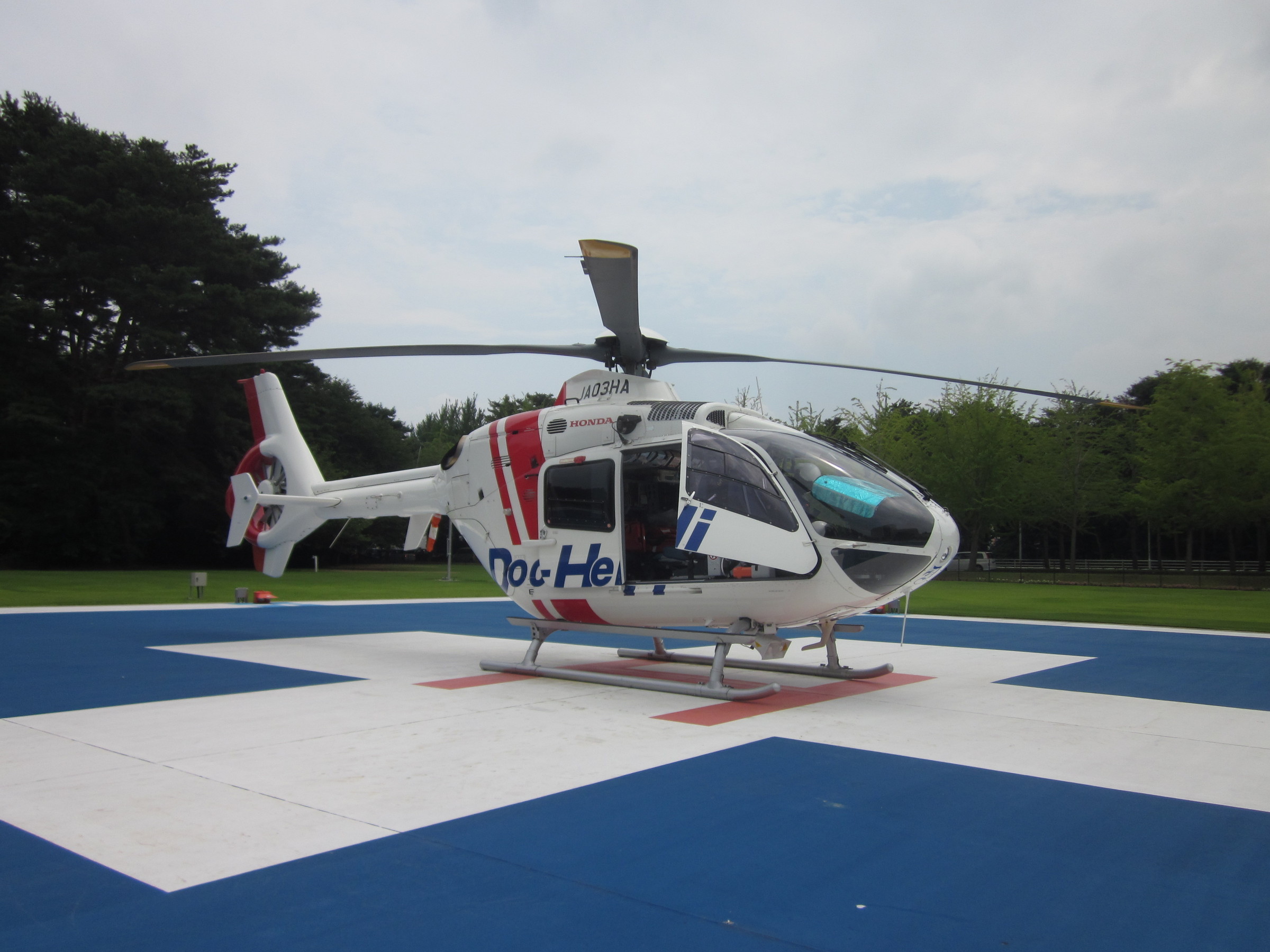 ����烊�|�[�^�[�̂���炩�ȓ��X