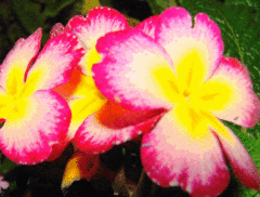 �l���܂��܂�