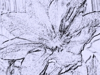 �l���܂��܂�