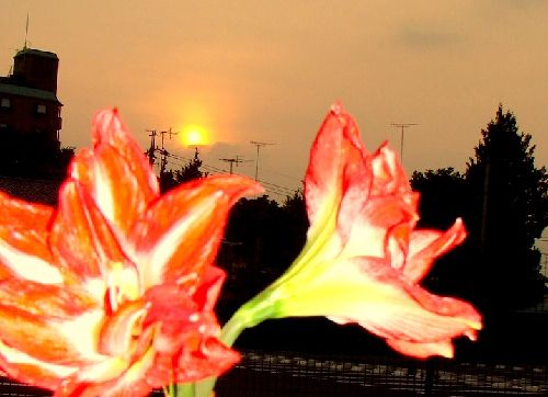 �l���܂��܂�