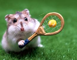 �܂��A�����ł���t�`�`