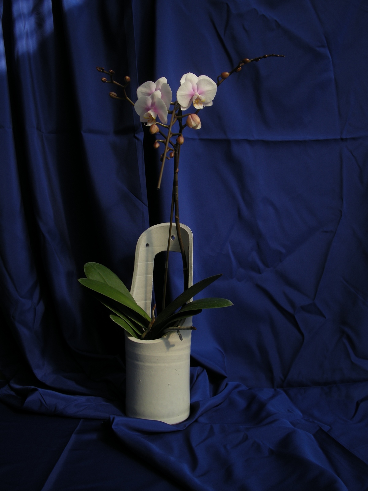 �n�Ӄ�����