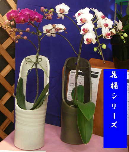 �n�Ӄ�����