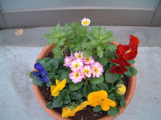 �n�Ӄ�����