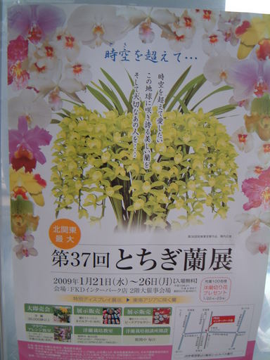 �n�Ӄ�����