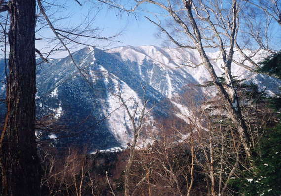 �D�������[�R�̔ޕ���