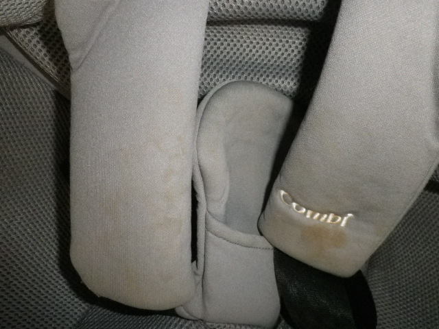 �`���C���h�V�[�g�̃N���[�j���O�i���R�s�@�����N���[�j���O�X�j