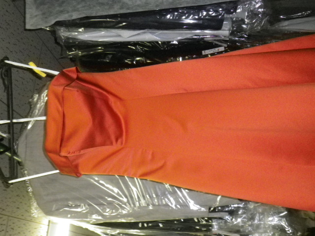 �h���X�̃N���[�j���O�i���R�s�@�����N���[�j���O�X�j