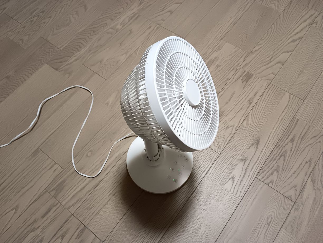 �䕗�̎��̓��i���R�s�@�����N���[�j���O�X�j