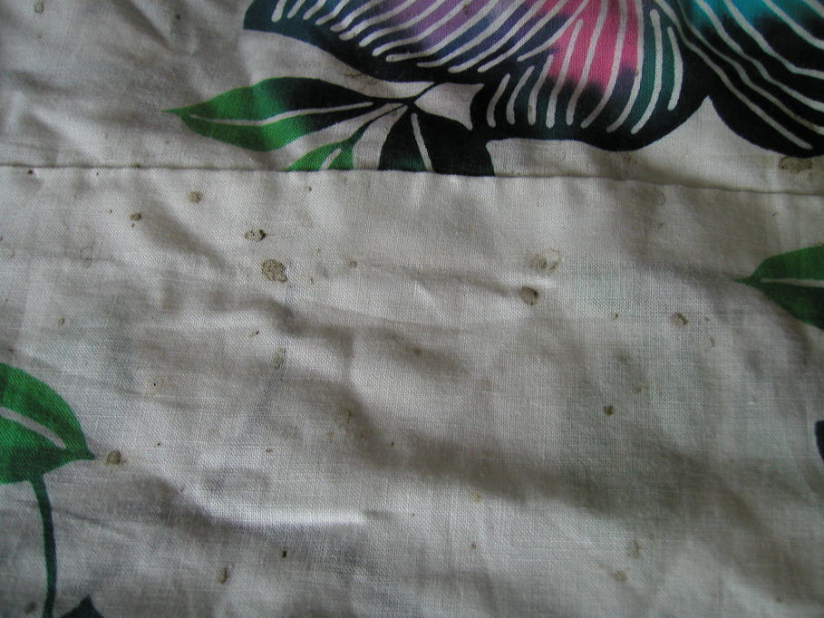 ���R�s�@�����N���[�j���O�X