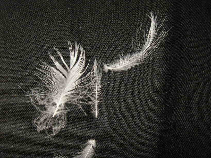 ���R�s�@�����N���[�j���O�X