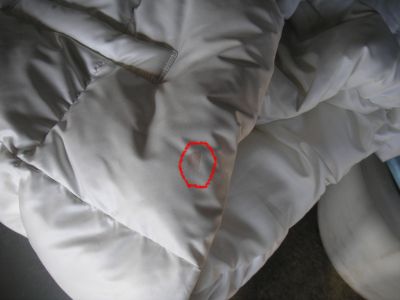 ���R�s�@�����N���[�j���O�X