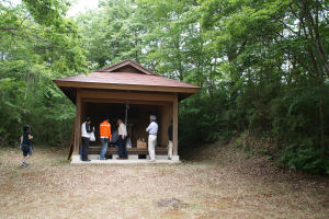 �ʐ^�D���Ȃ��₶�̃u���O