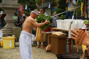 �ʐ^�D���Ȃ��₶�̃u���O