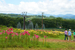 �ʐ^�D���Ȃ��₶�̃u���O