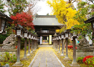 �ʐ^�D���Ȃ��₶�̃u���O