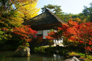 �ʐ^�D���Ȃ��₶�̃u���O