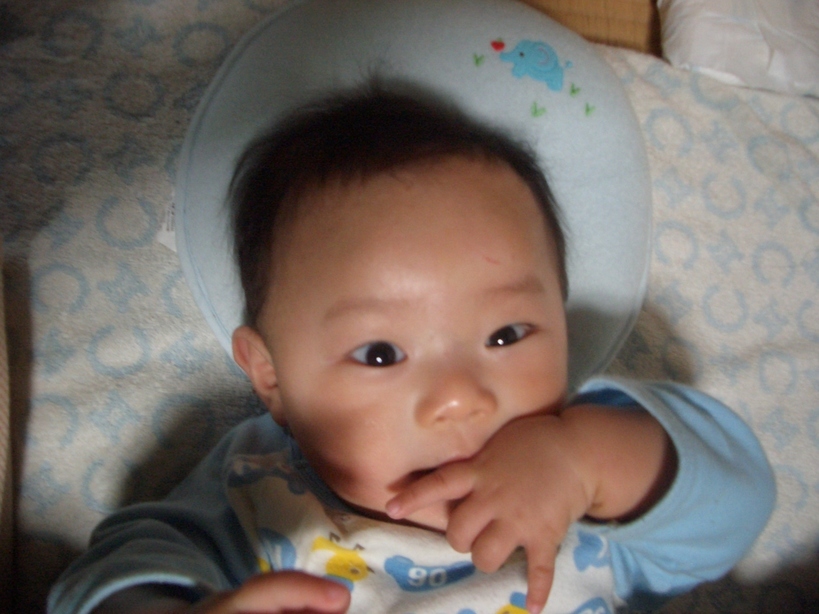 �Б��̕���