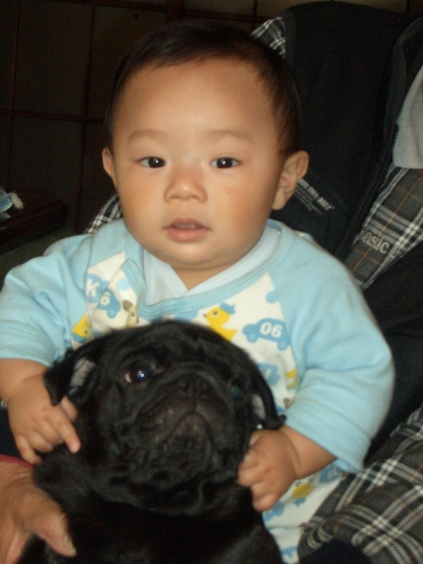 �Б��̕���