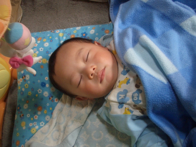 �Б��̕���