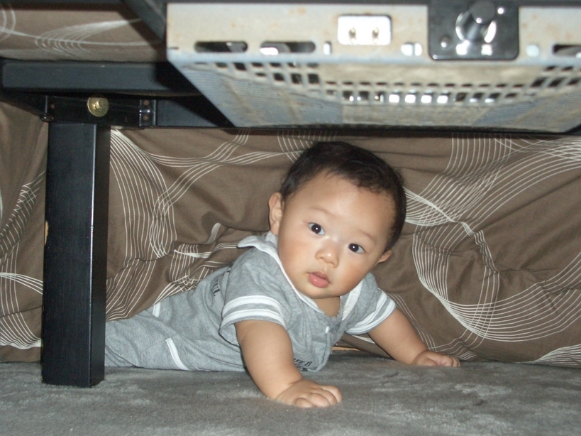 �Б��̕���