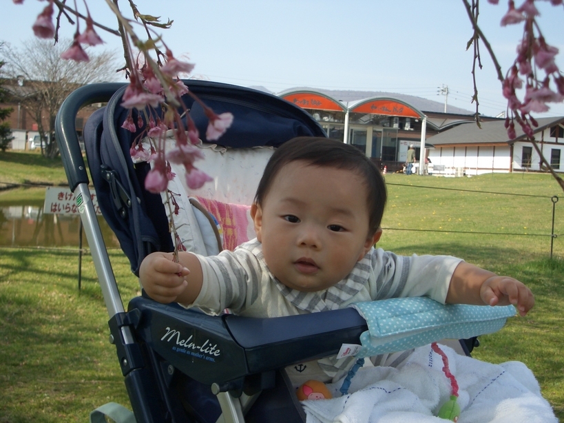 �Б��̕���