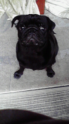 �Б��̕���