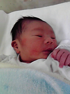 �Б��̕���