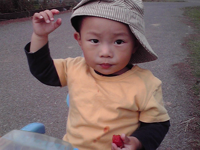 �Б��̕���