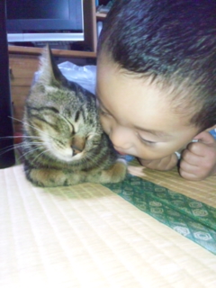 �Б��̕���