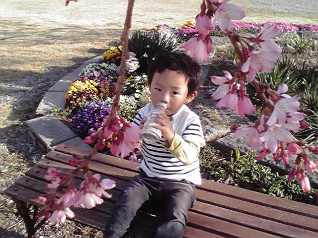 �Б��̕���